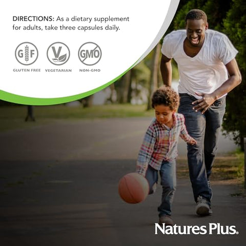 Natures Plus - BrainCeutix by NaturesPlus: Suplemento Ginkgo Plus para Memória e Concentração, 90 Cápsulas