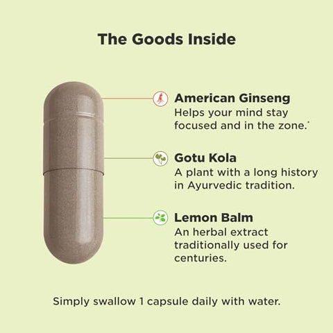 Focus Adaptogen – Cápsulas Vegetarianas de Ginseng e Gotu Kola para Suporte de Humor – 30ct - OLLY