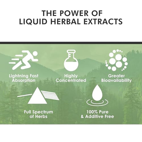 Intelligent Remedies - Suplemento de Telômeros – Extratos Herbais da Raiz de Astragalus