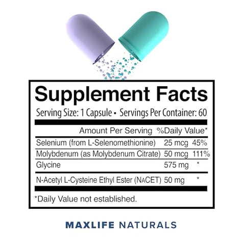 MAXLIFE NATURALS - Neuro NACET – N-Acetil Cisteína Etil Éster – 20x Mais Bioacessível Que NAC 1000mg – Aumento de Glutationa 10x Maior Que Glutationa Lipossomal – Etil Éster de NAC com Glicina – Produto de Alta Qualidade