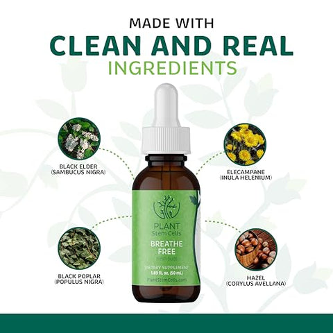 PSC Plant Stem Cells - Células-tronco vegetais Gemoterapia Respiração Livre | Botões embrionários de Sabugueiro Negro, Choupo Negro, Cavalinha