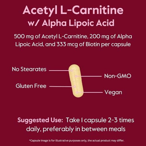 Acetyl L-Carnitine 500mg – Potencialize sua energia e queime gordura - BESTVITE