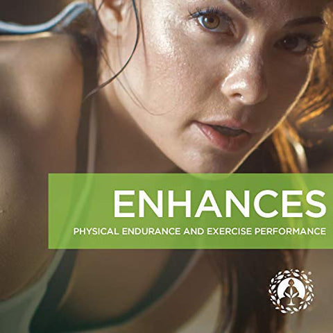 Maca em Pó Orgânica – Raiz Peruana Premium Superfood (Crua) – USDA – 100g - Zen Spirit