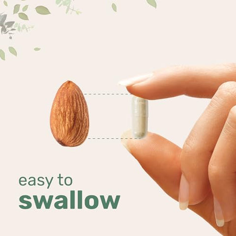Micro Ingredients - Lions Mane 8,400 mg | 240 Cápsulas Vegetais com L-Ergotioneína | Antioxidantes de Cogumelo Superfood para Envelhecimento Saudável
