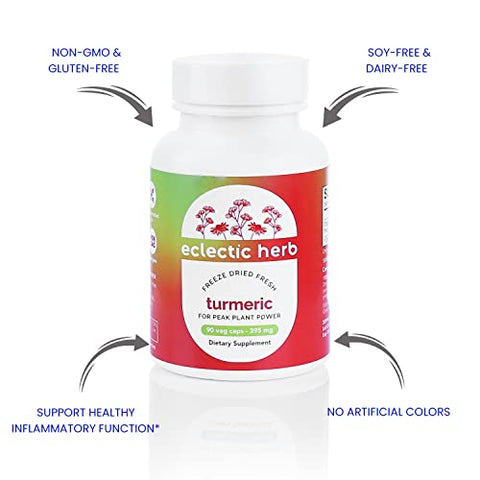ECLECTIC INSTITUTE - Eclectic Institute – Cúrcuma Crua Liofilizada | Cultivada nos EUA | Vegetariana, Não-OGM, Sem Glúten | 90 CT (395 mg)