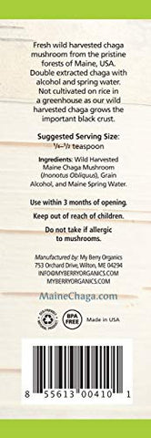 My Berry Organics - Extrato Líquido de Chaga, Tintura de Origem do Maine, 120 ml, Dupla Extração, 100% Colhido na Natureza, Não Cultivado, Não Proveniente da Sibéria
