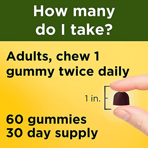 Ashwagandha Gummies Vegan – KSM 66 Ashwagandha para Suporte ao Estresse – 60 Unidades, Fornecimento de 30 Dias - Nature Made