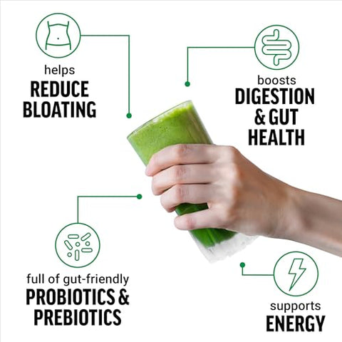Force Factor - FORCE FACTOR Smarter Greens em Pó Diário para Energia e Imunidade – 100g