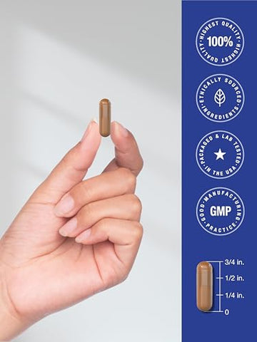 PQQ 40 mg | 120 Cápsulas | Máxima Potência | Suplemento Livre de OGM e Glúten | Sal Dissódico de Pirroloquinolina Quinona - Horbäach