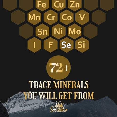 Susatentar - Trace Minerals Electrolytes Drops 2000 MG | Suplemento de Ácido Fulvico Humico Lipossomal Líquido | 72 Minerais Traços | Hidratação | Desintoxicação | Energia | Equilíbrio de pH | Digestão |