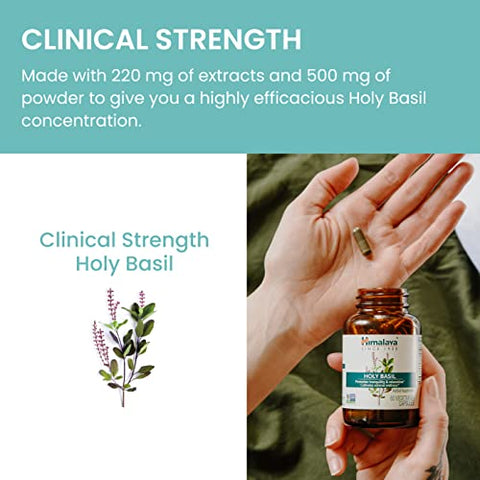 Holy Basil Tulsi – Alívio do Estresse, Relaxamento, Insônia Ocasional – Promove Calma – Ayurvédico – Não-OGM – Vegano – 720 mg – 60 Cápsulas – 2 Pacotes - Himalaya