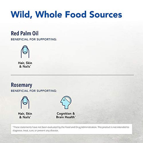 NORTH AMERICAN HERB & SPICE - NORTH AMERICAN HERB: Óleo de Orégano Selvagem – 30ml – Poderoso Antioxidante Natural