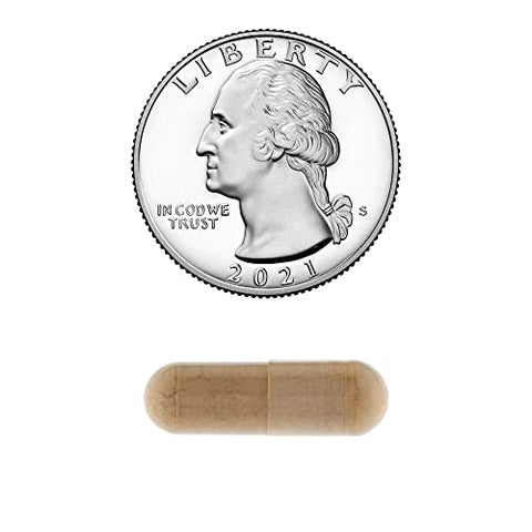 LUAL - Spring Valley Cápsulas Vegetarianas de Canela 1000mg | Suplemento Alimentar de Canela | 400 Cápsulas Vegetarianas | Pacote com Lual’s