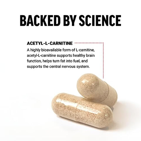 Acetyl L-Carnitine – Suplemento Cérebro, Suporte Nervoso e Energia Celular – 500mg, Qualidade Premium, Vegano, Não-OGM, 100 Cápsulas Vegetais - Force Factor