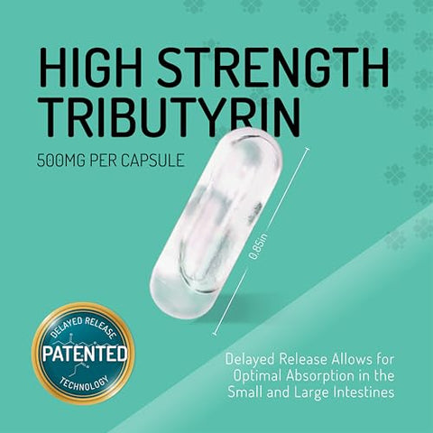 Healus - 60 Cápsulas de Suplemento de Tributirina Pós-biótica – Saúde Intestinal – Suplemento de Saúde Intestinal com Butirato