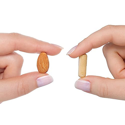 Liver Nutrients – Suporte à Produção de Glutationa e Função Celular do Fígado com Cardo Mariano e Ácido Alfa-Lipóico – 60 cápsulas - Seeking Health