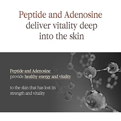 Creme Pyunkang Yul [PKY] Chá Preto Enriquecido para Anti-idade, Nutrição Concentrada para Cuidados com Linhas Finas com Kombucha, Extrato de Ginseng, Zero Irritação, Skincare Coreana (60ml)