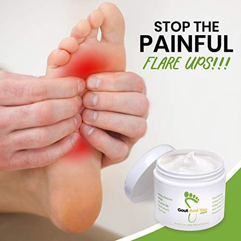 Gout and You - Creme Alívio para Desconforto Articular, Inflamações e Tendões – Ação Rápida no Alívio de Dores Musculares com Extrato de Arnica/Ilex, Aloe Vera e Óleo de Melaleuca