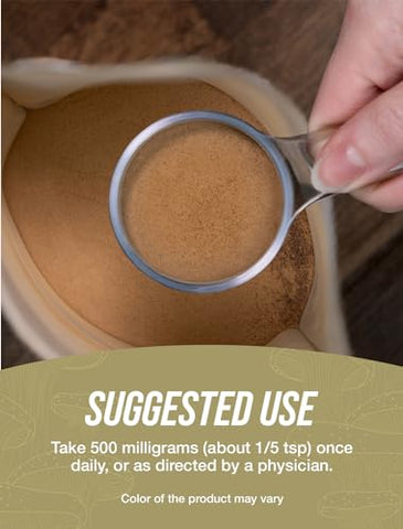 com Pó de Cogumelo Chaga Orgânico – Cogumelo Chaga Orgânico, Pó de Cogumelos Chaga – Suplemento de Cogumelos, Vegano - BulkSupplements