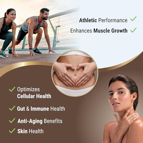 Optimal Carnivore - Pó de Colostro Bovino sem Sabor, Rico em Gramas de Colostro para Saúde Intestinal e Suporte Imunológico