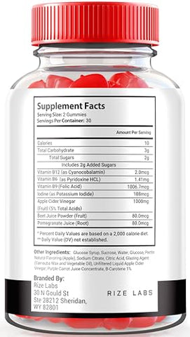 rize labs - Vista Keto ACV Gummies 1000mg – Perda de Peso Avançada com Vinagre de Maçã e Vitaminas – 60 Gummies