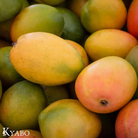 Kyabo - Manteiga de Manga Pura 100%%, Crua, Orgânica – 100g