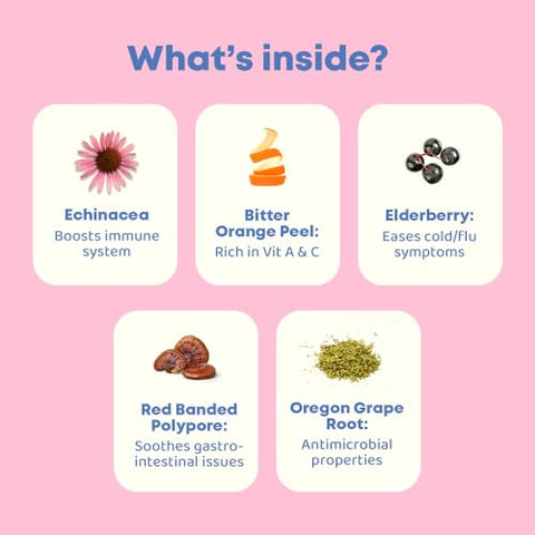 JoySpring - Kids Immune Support – Vitaminas Infantis para o Sistema Imunológico – Reforço para o Sistema Imunológico – Sabugueiro, Equinácea, Casca de Laranja