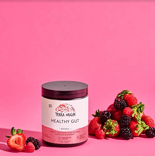 Pó para Saúde Intestinal (Sabor de Frutas Vermelhas) | 30 Porções com L-Glutamina, Zinco, Glucosamina, Casca de Ulmeiro, Raiz de Althaea e Mais! - TERRA ORIGIN