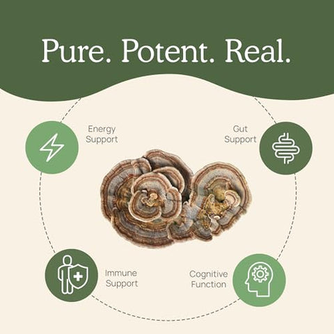 Pó de Cogumelo do Peru Real Mushrooms – Suplemento Orgânico de Cogumelo com Extrato Potente de Cogumelo do Peru para Intestino, Energia, Cérebro – 100g