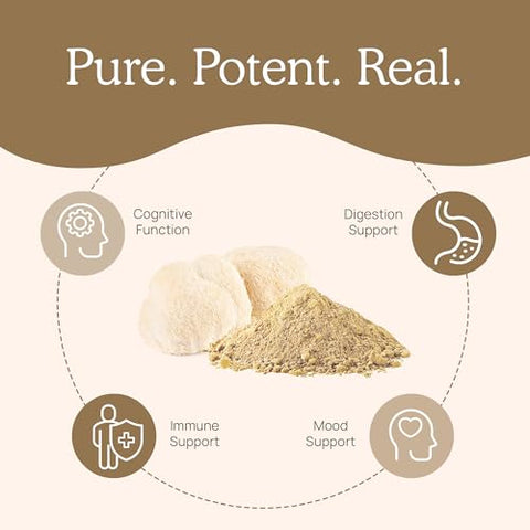 Cápsulas de Lion’s Mane da Real Mushrooms – Extrato Orgânico de Cogumelo do Leão para Função Cognitiva
