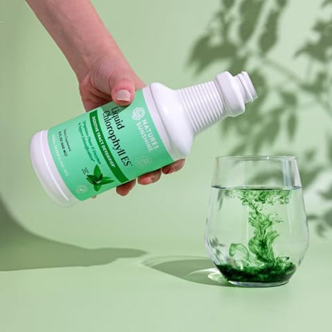 Nature's Sunshine - Nature’s Sunshine Clorofila Líquida Extra Forte – Suporte à Imunidade, Desintoxicação – 500ml