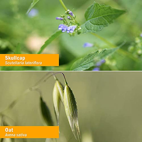 Fórmula Herbal Líquida Tônica para o Sistema Nervoso – Fortalece e Acalma – 120 ml - Herb Pharm