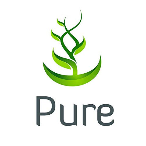 PURE ORIGINAL INGREDIENTS - NAC N-Acetil L-Cisteína em Pó (454g) – Ingredientes Puros e Verificados em Laboratório