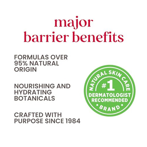 Burt's Bees - Burt’s Bees Baby Face – Creme Facial para Bebês 50g | Hidratação Natural