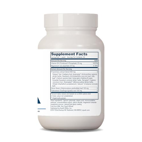Rentone: Suplemento Ayurvédico para Trato Urinário e Suporte Renal, Mistura de Ervas e Minerais Naturais com Cranberry, Vitamina B6, Tribulus e Manjericão Sagrado, 90 cápsulas - Ayush Herbs