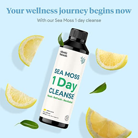 Atlantic Naturals - Desintoxicação Completa do Corpo com Sea Moss 1 Day Cleanse | Apoio Intestinal, Renal, Hepático, Imunológico e Energético | 240 ml