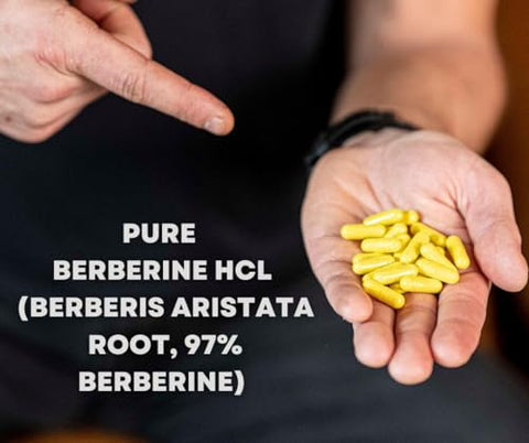 Berberine Fasting Accelerator: Berberine HCL com ALA e Biotina, Cápsula – 60g - MYOXCIENCE