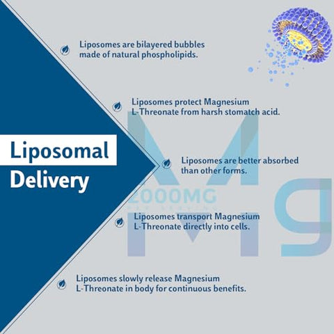 Enerrgecko - Liposomal Magnesium L-Threonate Softgels 2000mg – Vitamina D3 – 60 cápsulas