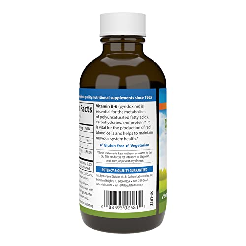 B-6 Líquido, Vitamina B-6, Produção de Energia, Saúde do Coração, Sabor Limonada de Frutas Vermelhas, 120 mL (4 fl oz) - Carlson