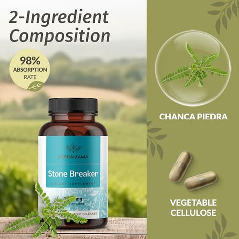 Cápsulas Quebra Pedra Chanca Piedra – 1200 mg Dissolvente de Pedras nos Rins – Limpeza da Vesícula Biliar e Suporte Renal – Vegano, Não-OGM – 100 Cápsulas - HERBAMAMA