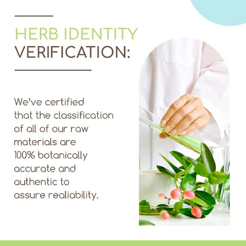 HerbEra - White Peony B120 Extrato Herbal Sem Álcool, Gotas Líquidas Concentradas Naturais de Raiz Seca de Peônia Branca (Paeonia Lactiflora) (120 ml)