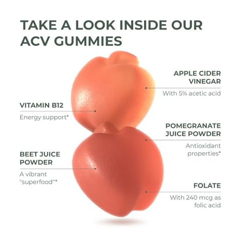 Gummies de Vinagre de Maçã, 60 Gomas Sem Açúcar de Vinagre de Maçã, Beterraba e Romã para Apoiar a Imunidade, Digestão e Desintoxicação 750 MG - Primal Harvest