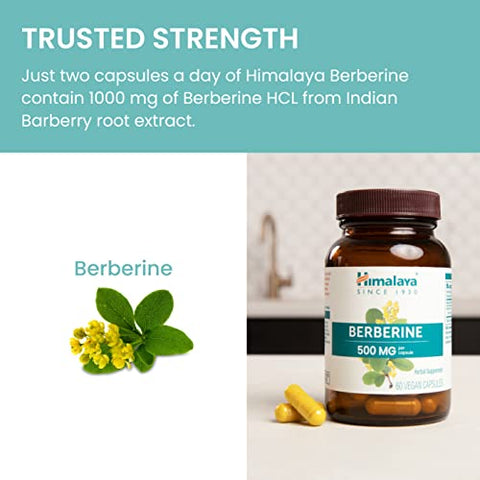 Berberine para Metabolismo: Aumente sua Energia e Queime Gordura Naturalmente - Himalaya