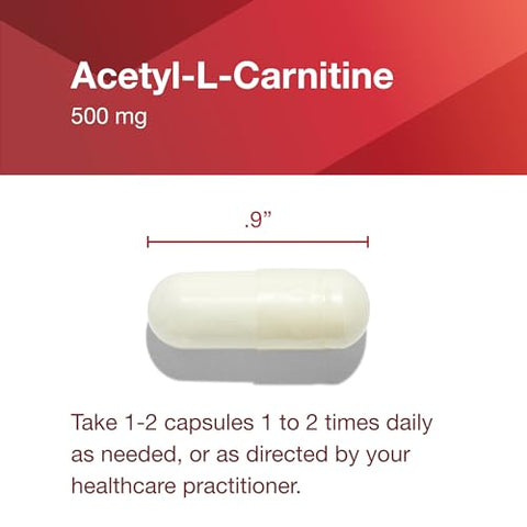 PROTOCOL FOR LIFE BALANCE - Protocolo Acetyl-L-Carnitina 500mg – Suplemento Energético, Suporte para Nervos e Cérebro – 100 Cápsulas Vegetais