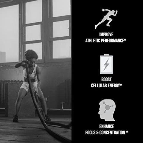 Creatina Monohidratada em Pó Micronizada 400g – Vegana sem Sabor para Pré-Treino, Construção Muscular Pura para Mulheres e Homens – Suplemento Instantâneo, 80 Porções 14.1096g - UpNourish