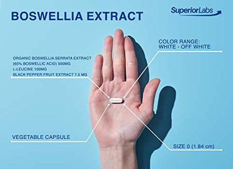 Boswellia Extract – Fórmula Poderosa para Articulações, Joelhos, Quadris, Imunidade – 500mg SVG, 240 Cápsulas - Superior Labs