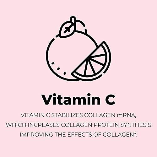 Left Coast Performance - Pó de Colágeno Multi com Biotina, Ácido Hialurônico, Vitamina C (Tamanho Econômico 2lb) | Suplemento de Colágeno Hidrolisado (Tipos I, II, III, V, X). Cabelo, Pele, Unhas para Mulheres, Homens