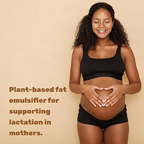 DEAL SUPPLEMENT - Pó de Lecitina de Girassol Orgânico, 340g – Livre de Soja, à Base de Plantas, Fosfatidilcolina Natural – Suplemento para Lactação Feminina – Não-OGM