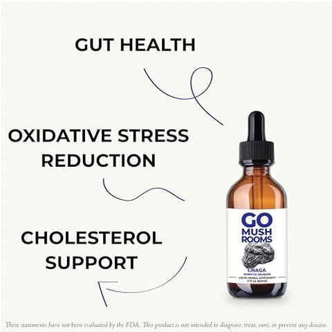 GO Mushrooms - Chaga Tincture – Suplemento de Corpo Frutífero de Cogumelo Extraído em Dual para Apoiar o Sistema Imunológico – Rico em Nutrientes de Chaga