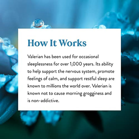 Nature's Sunshine - Nature’s Sunshine Valerian Root 100 Cápsulas | Suplemento Herbal Promove Relaxamento, Suporta o Sono e Oferece Suporte Natural ao Sistema Nervoso